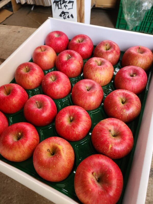 【Amazing Apple】サンふじ贈答品5kg‐11月下旬～順次発送‐